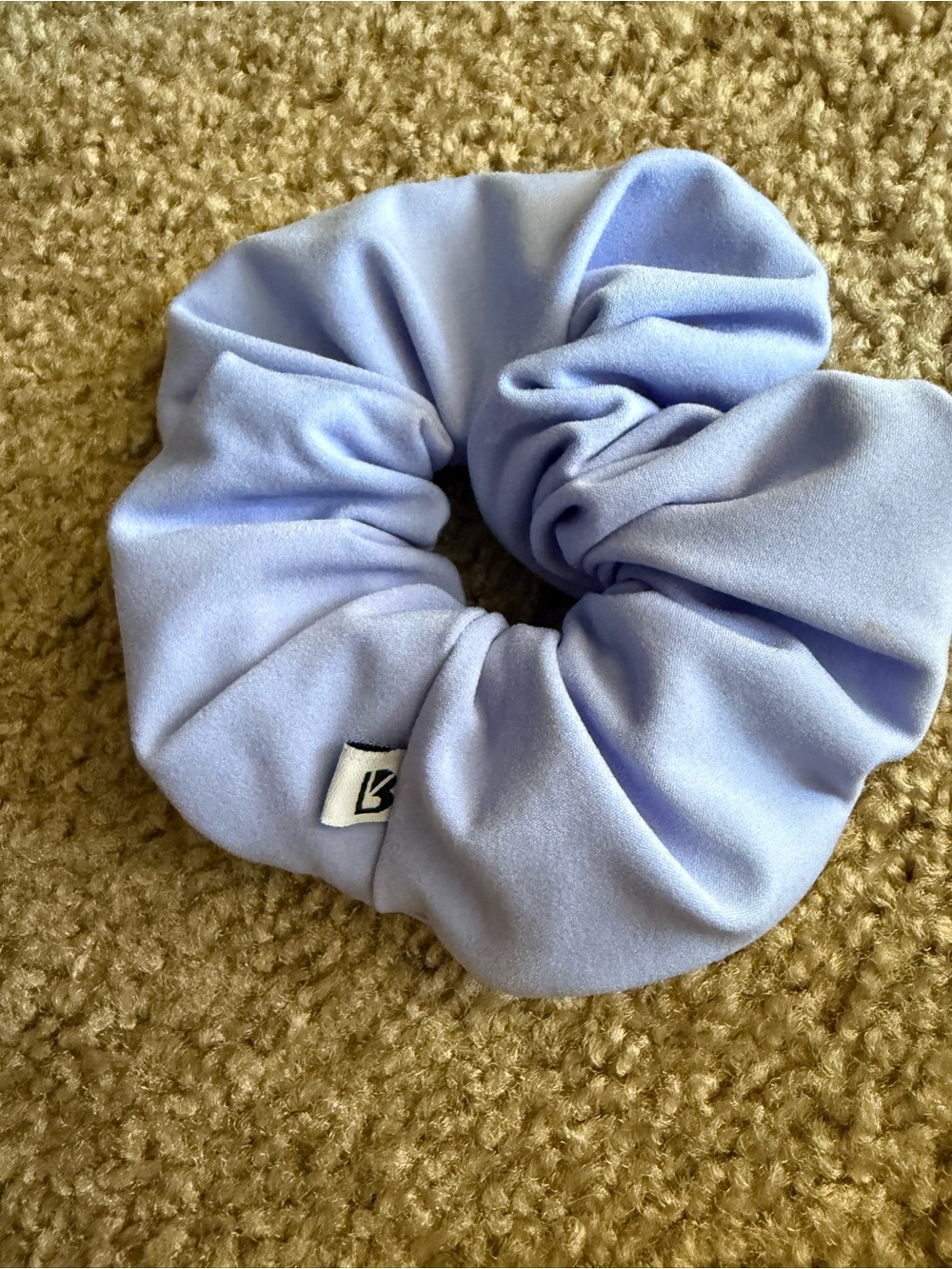 BuffBunny Scrunchie 🍇
